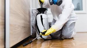 Best Pest Prevention Services  in Long Valley, NJ